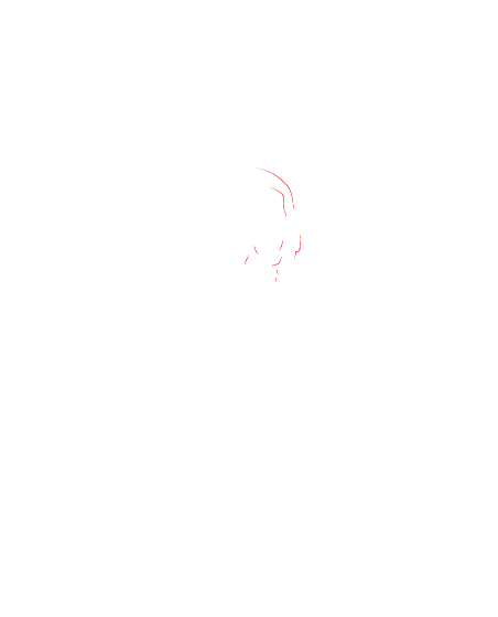 Obrázek trička Bobek_zKlobouku Merch