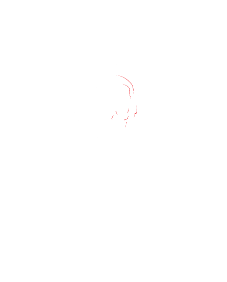 Obrázek trička Bobek_zKlobouku Merch