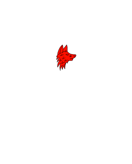 Obrázek trička IREXCREW tričko černé