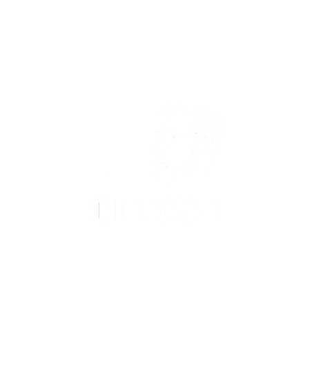 Obrázek trička Chosse